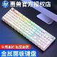 惠普(HP) K500 白色彩光 有线背光键盘 经典版