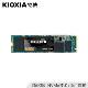 铠侠（Kioxia）（原东芝存储）250GB SSD固态硬盘 NVMe.M2接口 EXCERIA NVMe RC10系列（原东芝RC500系列）